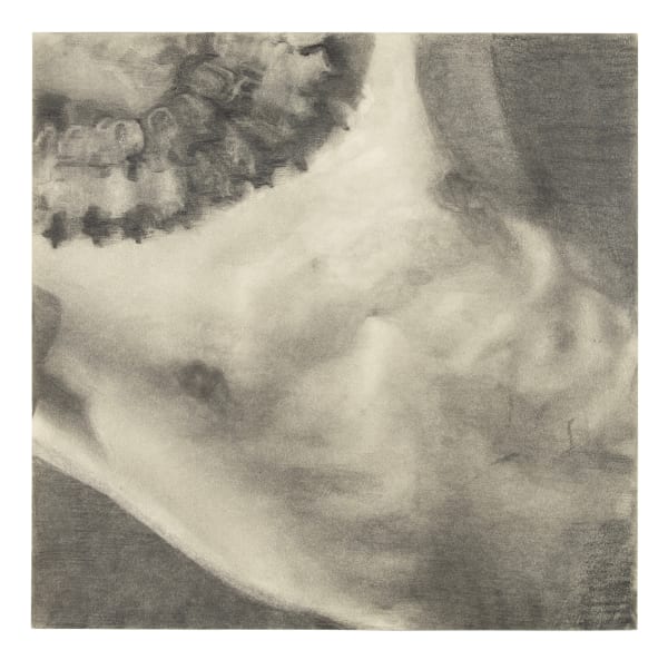 Richard Maguire, Torso (after Van Vechten), 2024