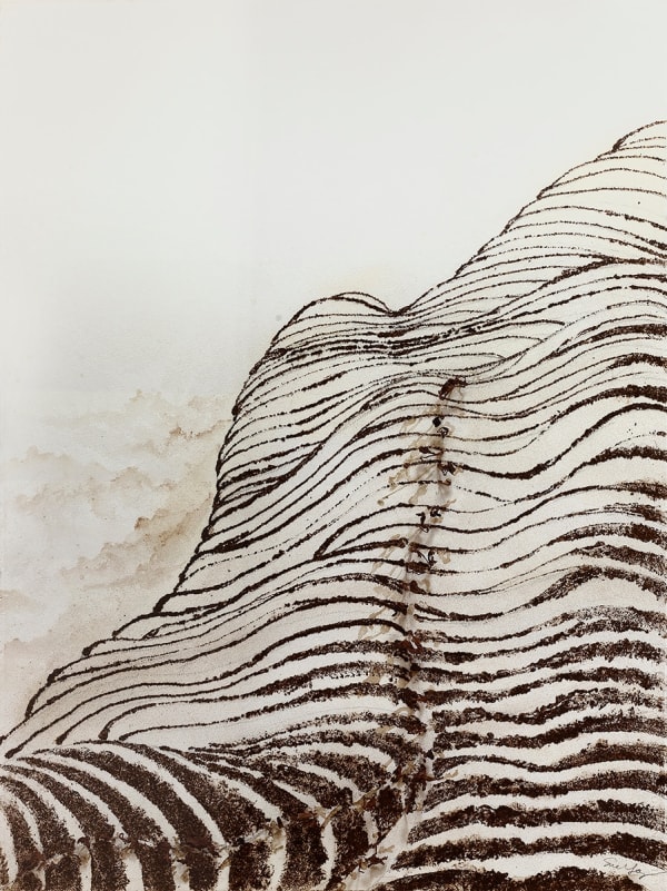 Sue Yang Mountain Path, 2011