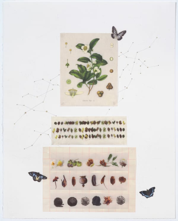 Yu-Wen Wu From Rock to Cloud II, 2024