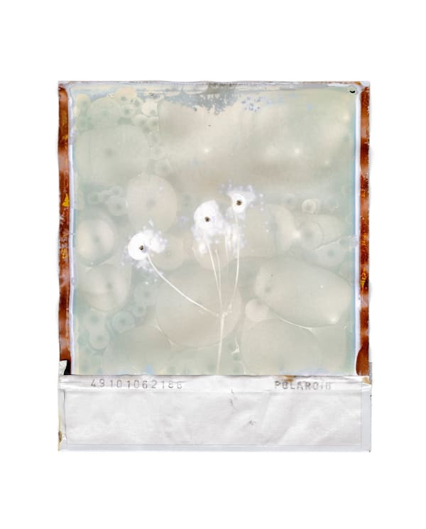 Gohar Dashti Untitled #1, 2022