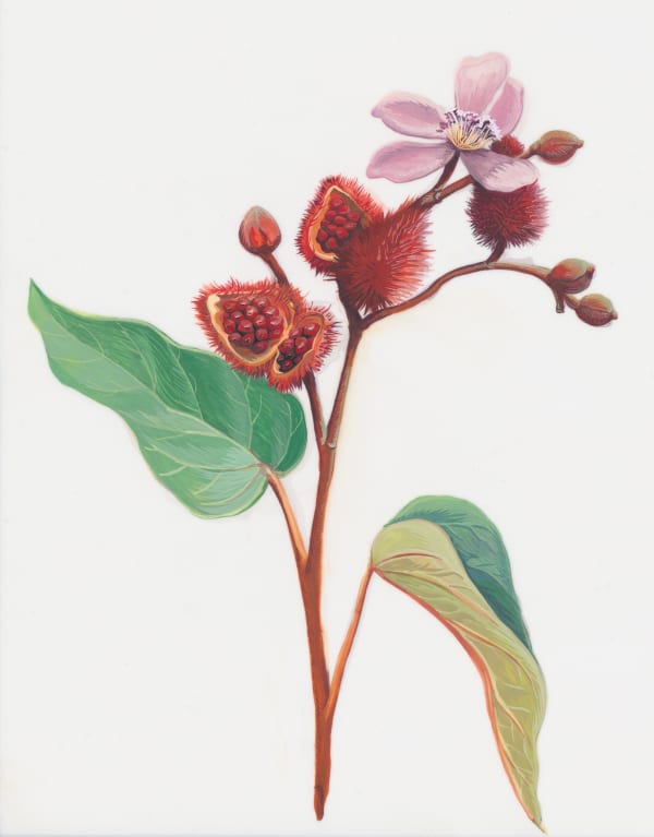 Joiri Minaya, Bija, 2020