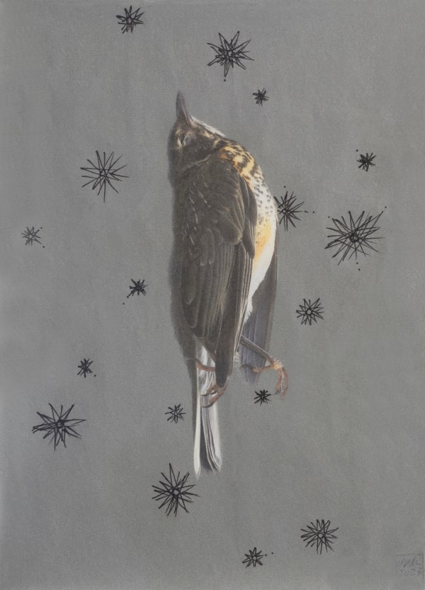 Yu-Wen Wu Bird, 2023