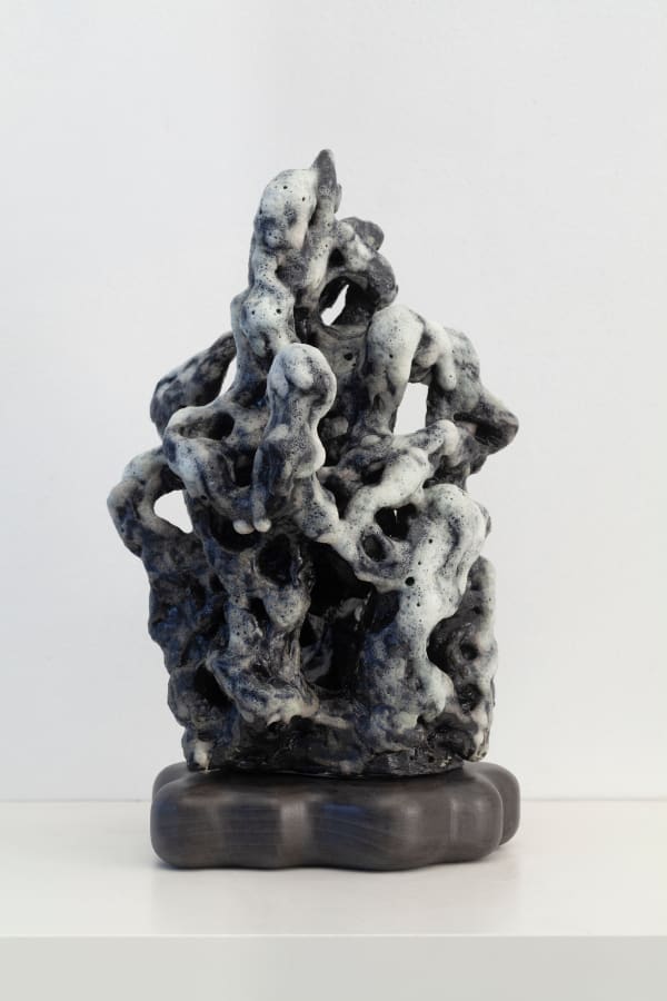 Yu-Wen Wu Scholar's Rock I, 2024