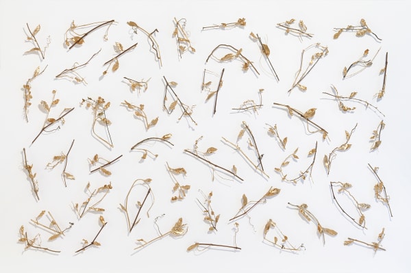 Yu-Wen Wu Acculturation Flow, 2024