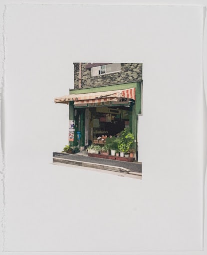 Naomi Reis found still life (fruit stand), 2021