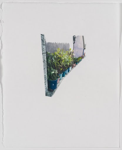 Naomi Reis found still life (planters), 2021