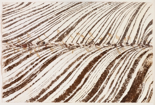 Sue Yang Demarcating Line, 2011