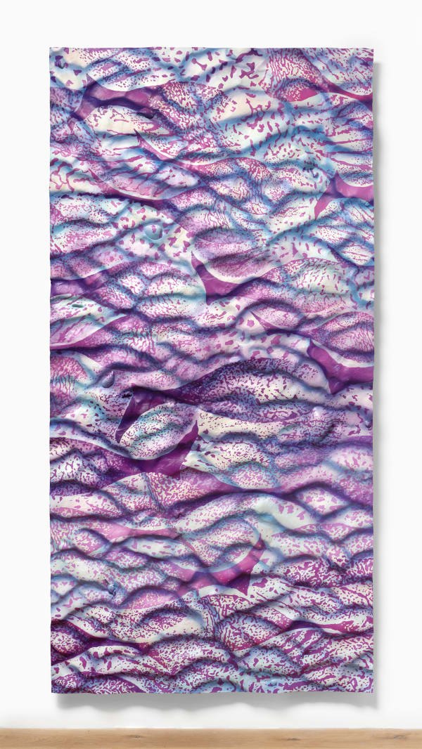 Lucy Kim Ichthysopsis 1, 2025