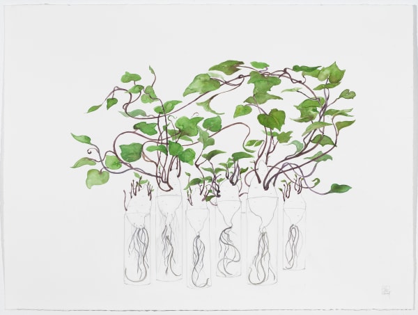 Yu-Wen Wu Yams, 2024