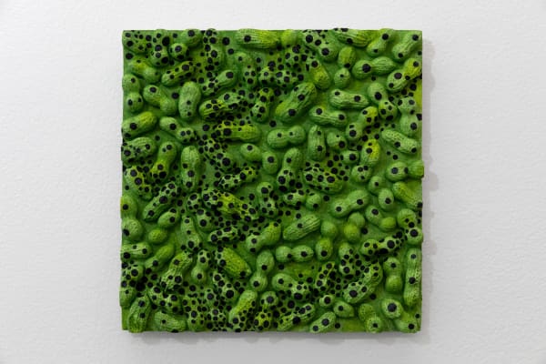 Lucy Kim Peanuts (Green/Black), 2025