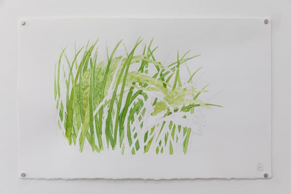 Yu-Wen Wu Rice II, 2024