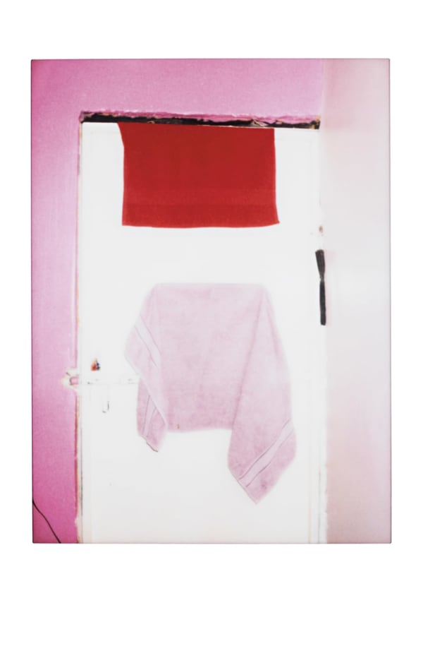 Charlotte Schmitz, La Puente series, 2016-2019