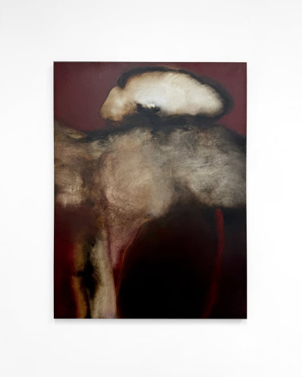 Anide, Anatomy of a Flying Stone