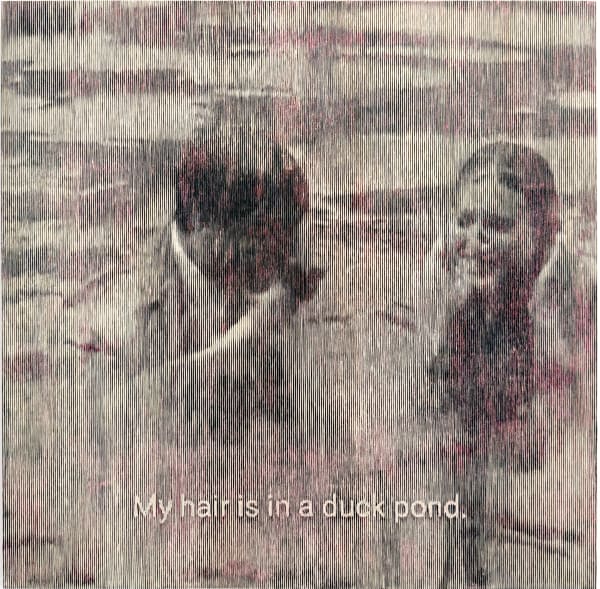 Morgane Ely, My hair is in a duck pond, 2024