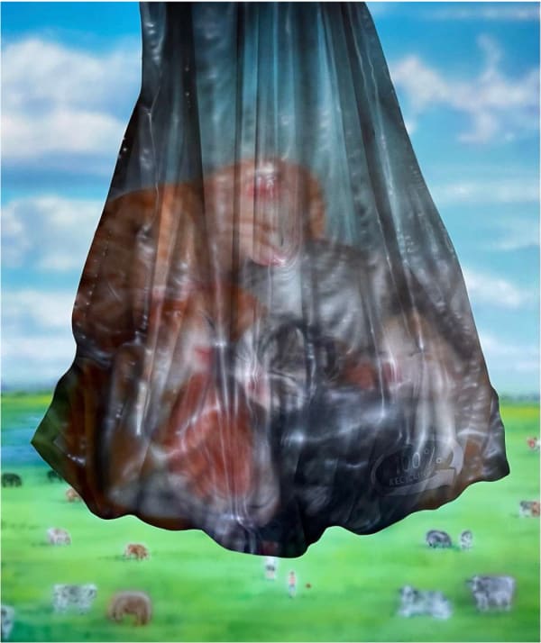 Helena Minginowicz, Too many of you, 2025