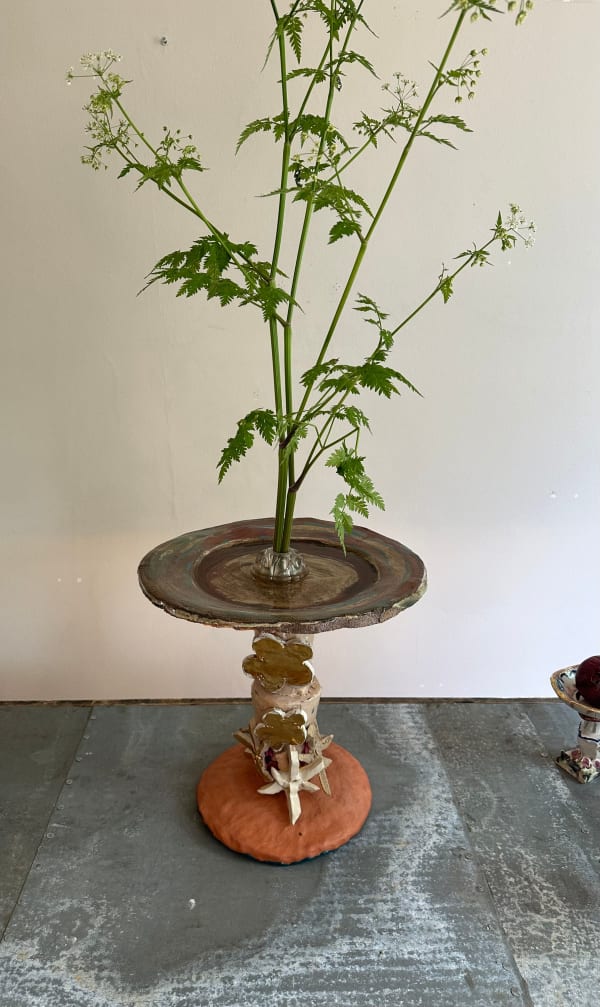 Louise Kaye, Gold blossom trophy