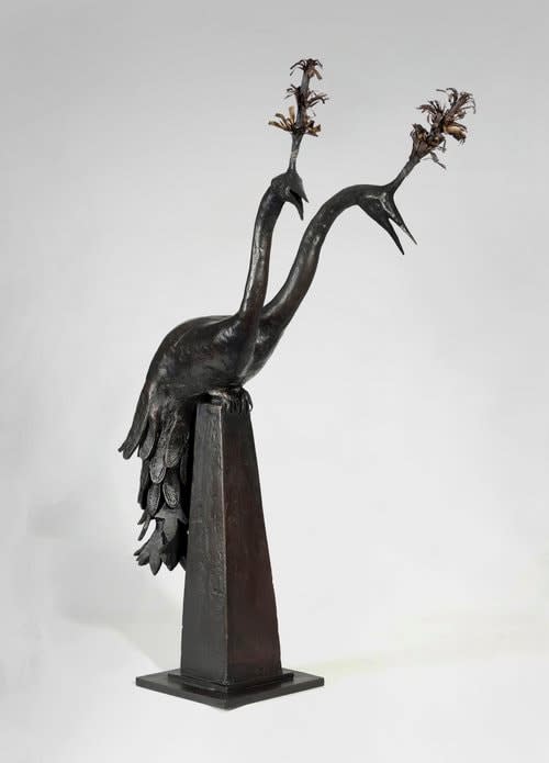 James Mortimer, Two headed peacock