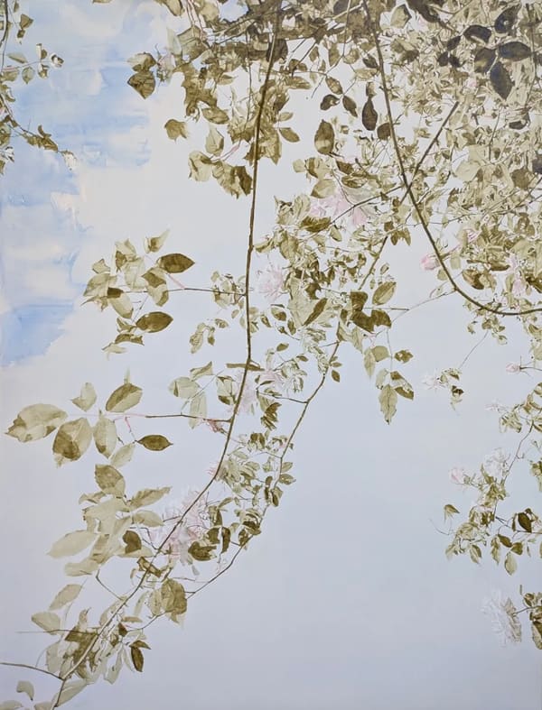 Melanie Goemans, May (Mme. Alfred Carrière) 2, 2025