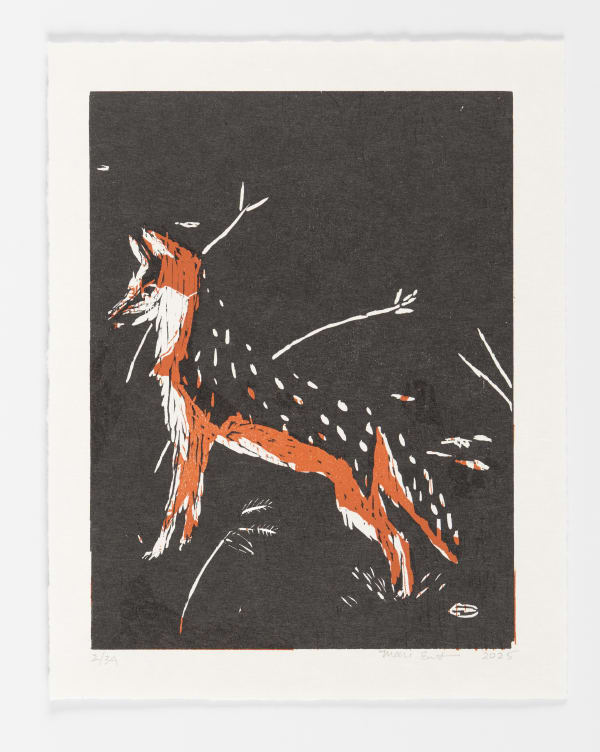 Mari Eastman - Untitled (Gray Fox) (2/34), 2025