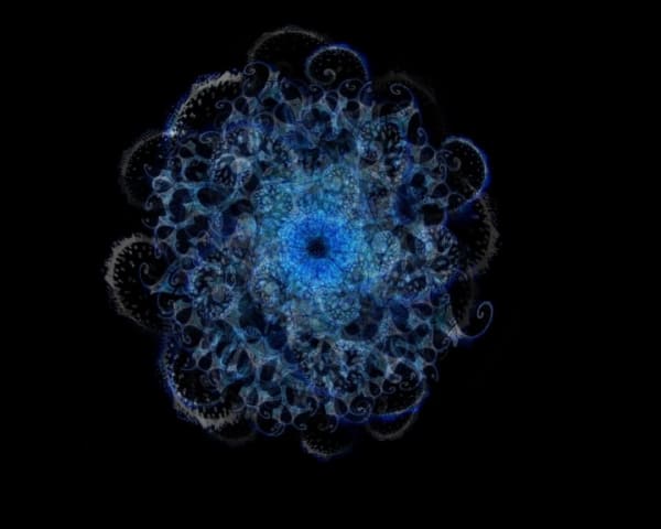 Rohini Devasher Ghosts in the machine (video still), 2006 Single channel video 6 min