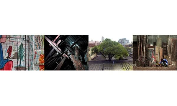 Neha Choksi Found Green, 2006 Video stills, Digital video, color, sound, subtitles 13’ 00”