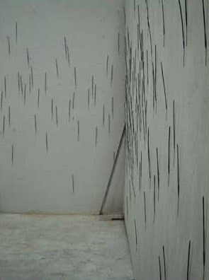 Hemali Bhuta Growing, 2009 Archival print on Waterford paper 5 x 7 inches