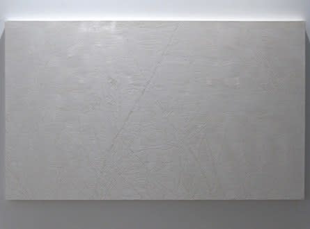 Neha Choksi Bare (Leaf Fall), 2008 Oil and Alkyd on canvas 60 x 100 inches