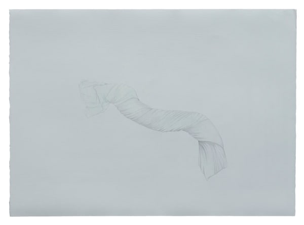 Prajakta Potnis 18:07, 2015 Acrylic emulsion, pencil, water colour on archival paper 25 x 33.5 inches