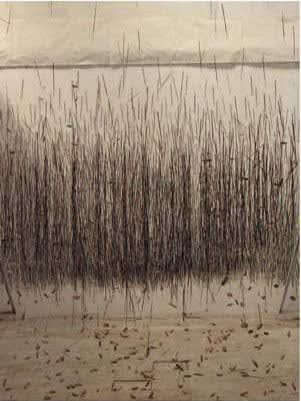 Hemali Bhuta Growing, 2009 Archival print on Waterford paper 5 x 7 inches