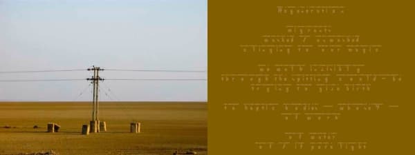 Tejal Shah Deciphered III, Diptych, 2012 Photograph and text on canvas, digital archival print 4 x 6 inches