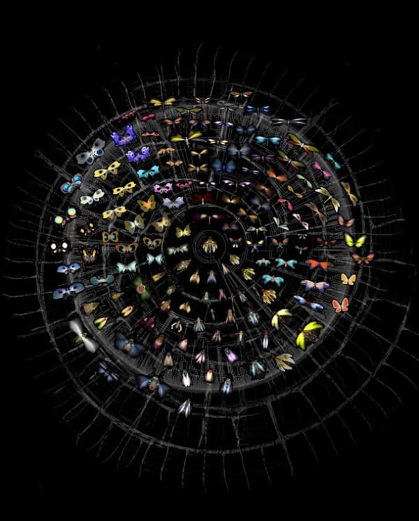 Rohini Devasher Hopeful Monsters, 2018 Archival Pigment Print On Fine Art Baryta Paper 74 x 60 inches