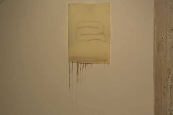 Prajakta Potnis Site-specific installation, 2016