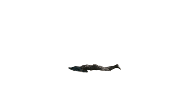 Tejal Shah Unbecoming 2, 2017 Digital prints on Photo Rag Paper 12.5 x 22 Inches 1/3 + 2 AP
