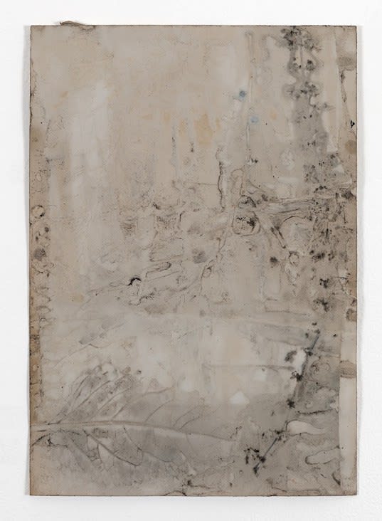 Hemali Bhuta From The Garden Of Cona, Goa (3), 2022 Botanical Print On Paper 10.5 x 7.5 inches