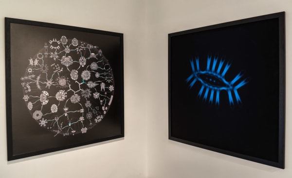 Rohini Devasher Bloodlines,, 2009 archival pigment print and single channel video 60 x 60 inches and 45 minutes