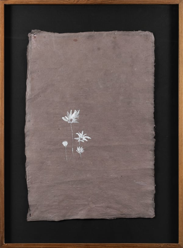 Pallavi Paul Karamaat II, 2024 Watercolor on Duong Paper 30.5 x 22.5 Inches (Framed)