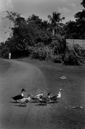 Chirodeep Chaudhuri Untitled - 20 (From the series A Village in Bengal), 1996-2010 Archival ink-jet print on enhanced matt 18 x 12 inches