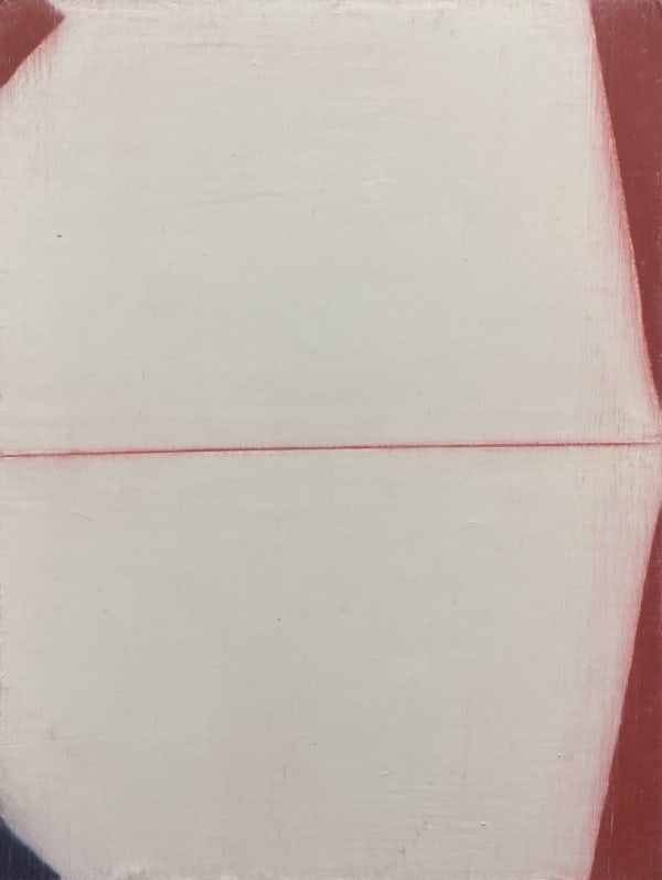 Suzanne Caporael, Untitled, 2012-13