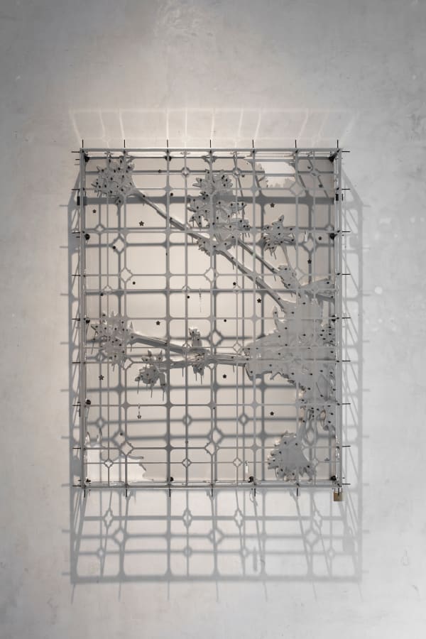 Emma Pidré, Hierba del Sapo , 2025