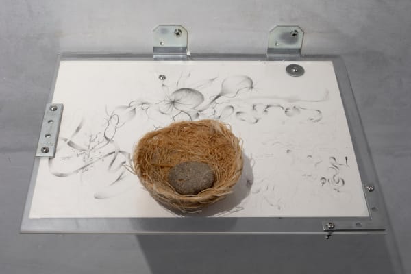 Miguel Cinta Robles, CM/DR2, 2024