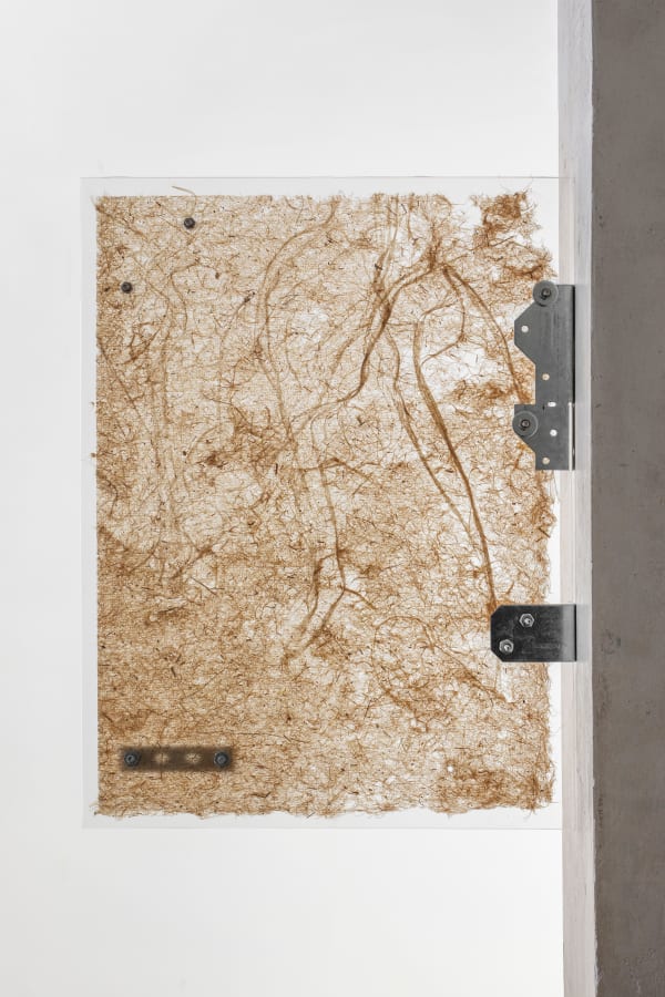 Miguel Cinta Robles, CM/SC9, 2024