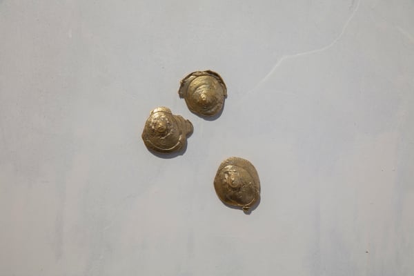 Lucrezia de Fazio, Invicta (Cosima, Lucrezia), 2023