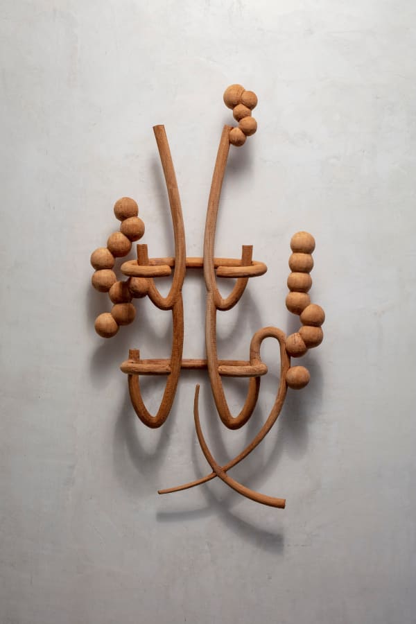 Pablo Andino, Costillar con burbujas, 2023