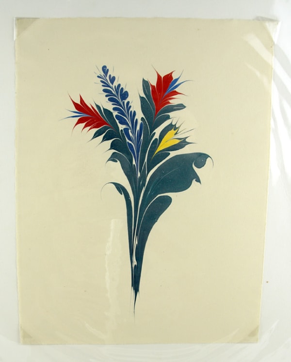 Large Flower with Clear Background by Christopher Weimann.