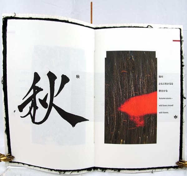 Enso. Illustrated spread