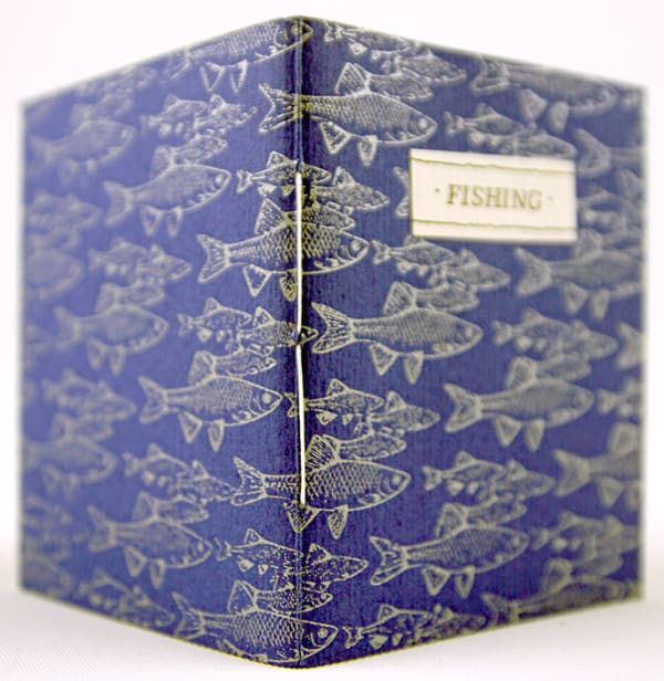 Fishing by Darrell Hyder. Illustrated wrappers.