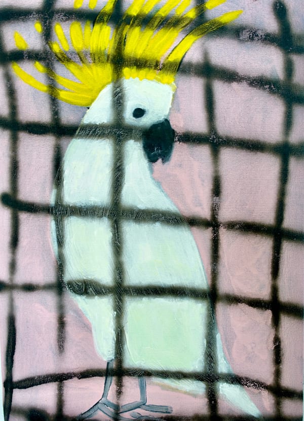 Gabrielle Graessle, n.t. 2024, acrylic and spray on canvas