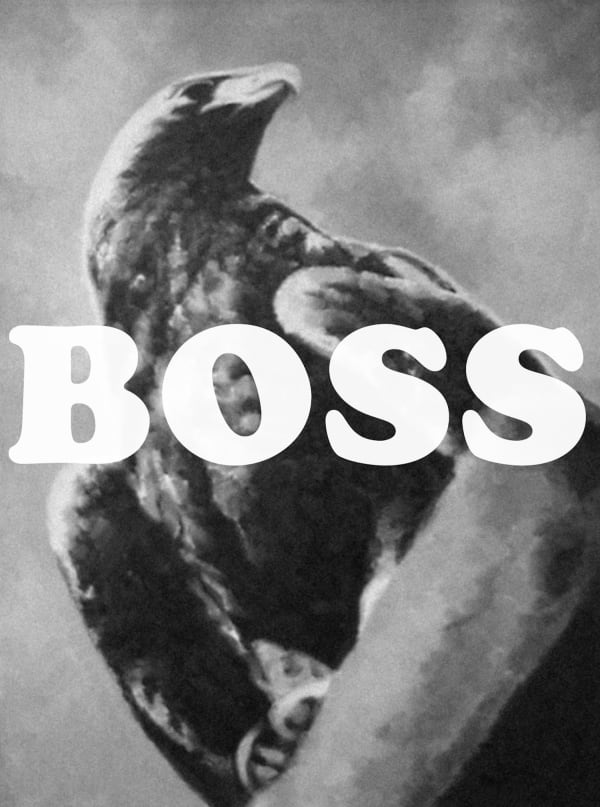 Mishka Henner, Boss 1961 + Adler 1972, 2012