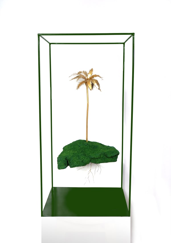 Houda Terjuman, Uprooted Palm, 2021