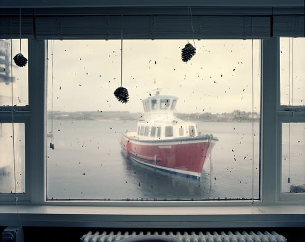 Joakim Eskildsen, From the series Cornwall, Sea Horse, 2018